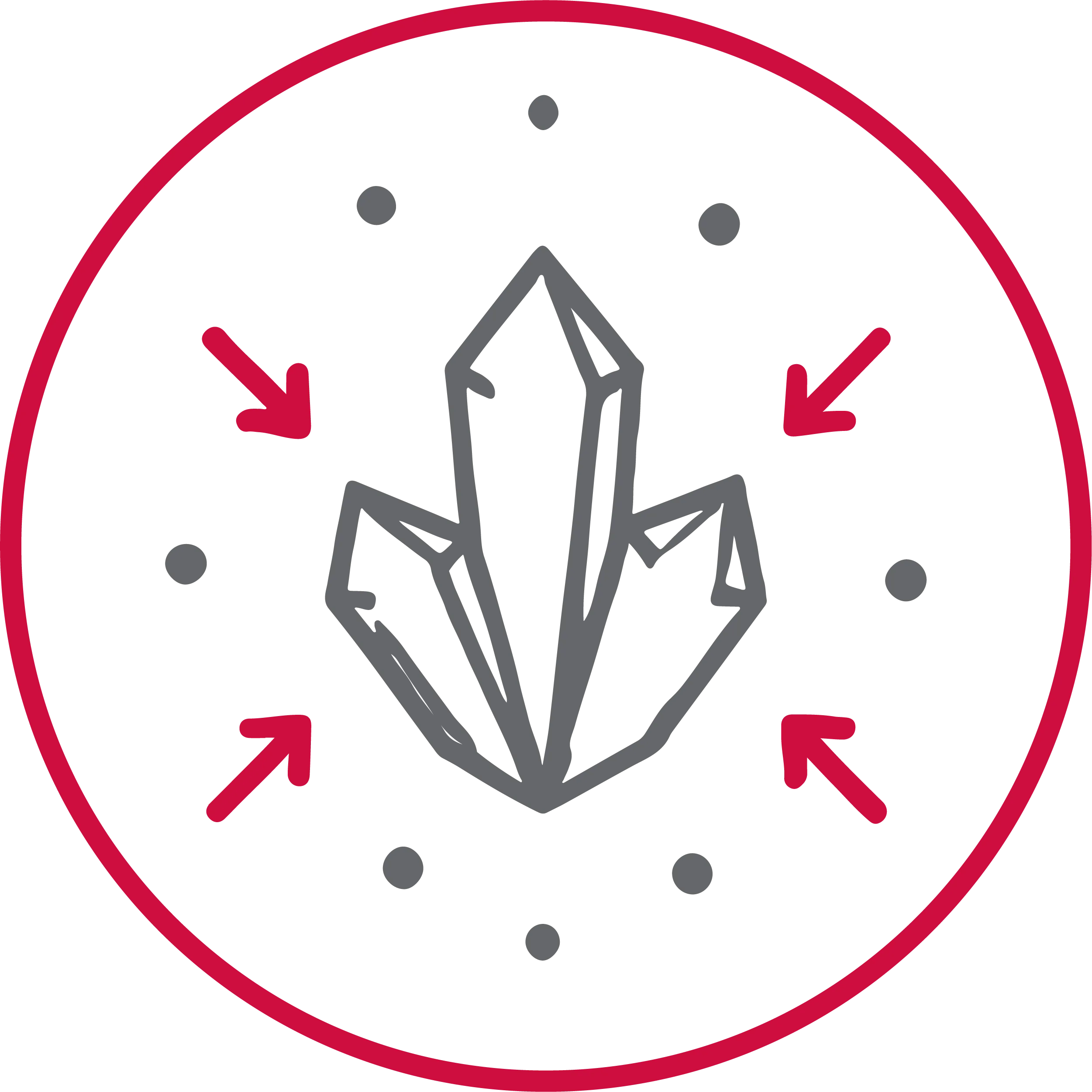 Permanent Internal Protection