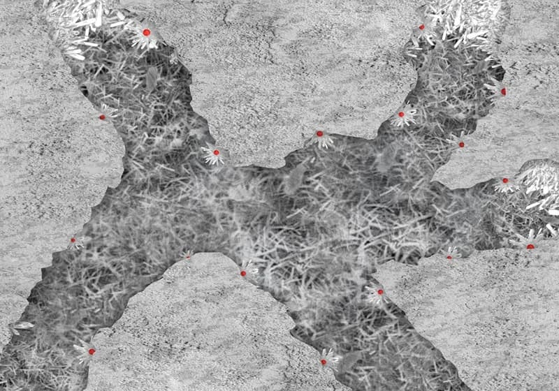 Dynamic Multifunctional Crystalline (DMC) Additives