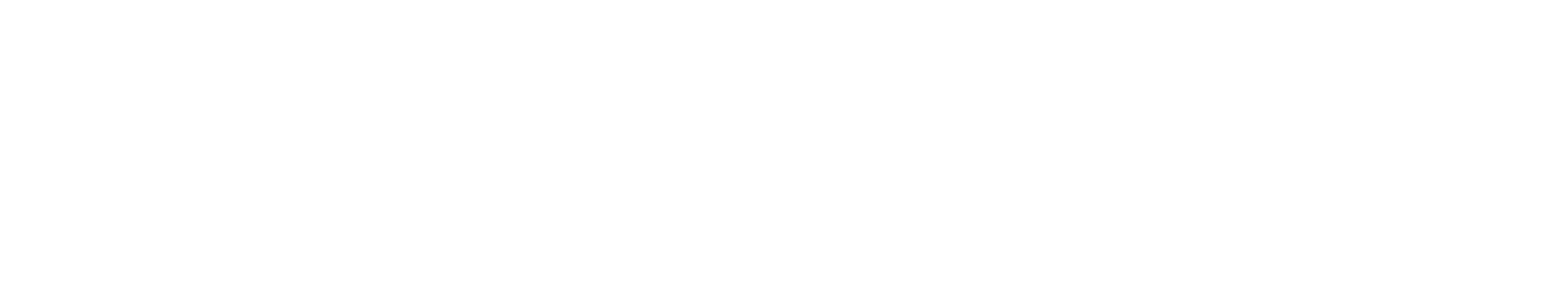 Main Logo