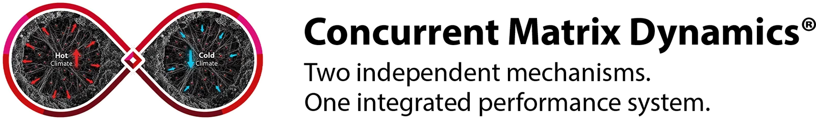 concurrentmatrix