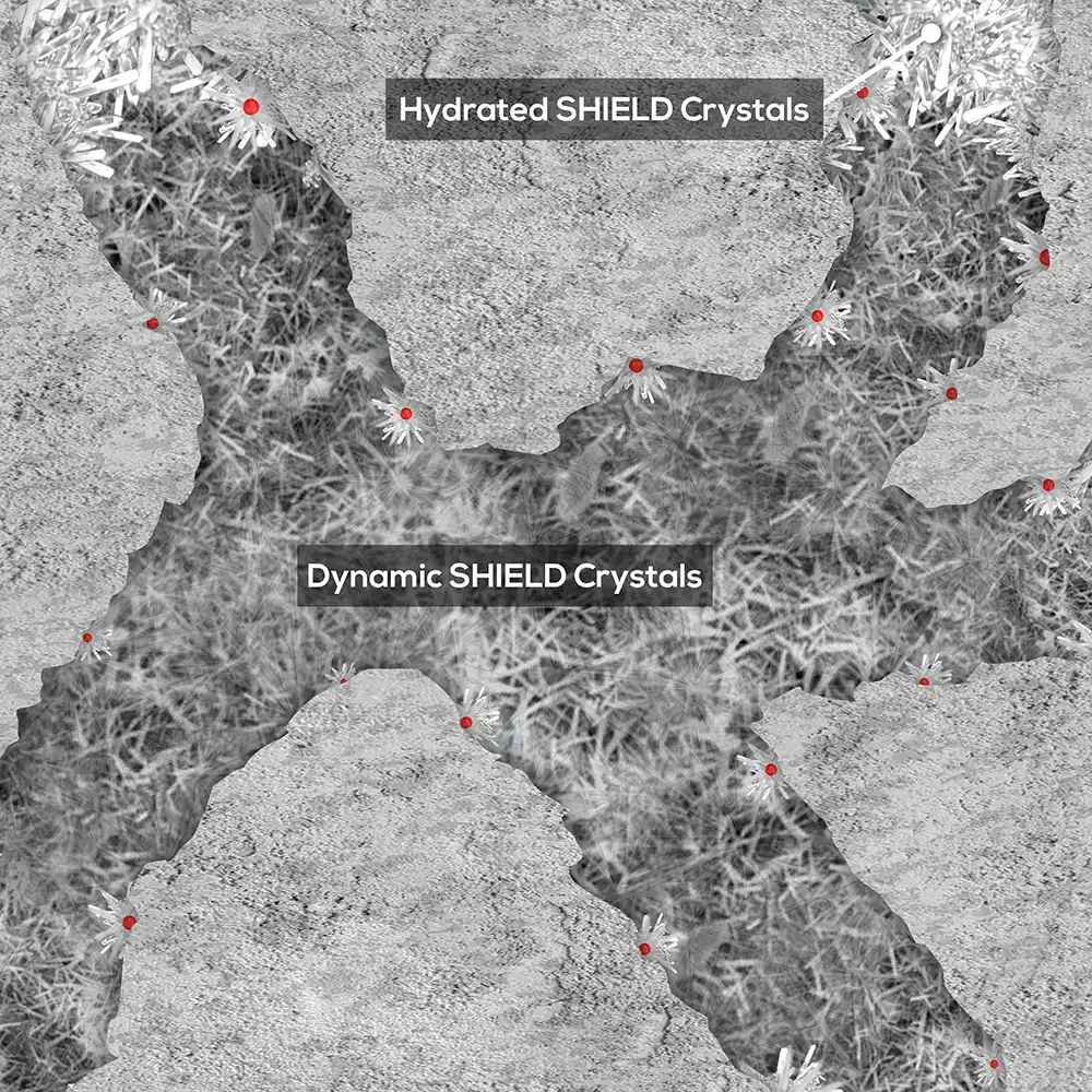 DMC Crystalline Diagram