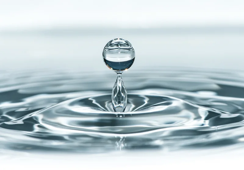 Polyurethane Dispersion Waterproofing Coatings and Sealants