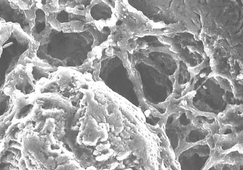 Construction Additives & Modifiers