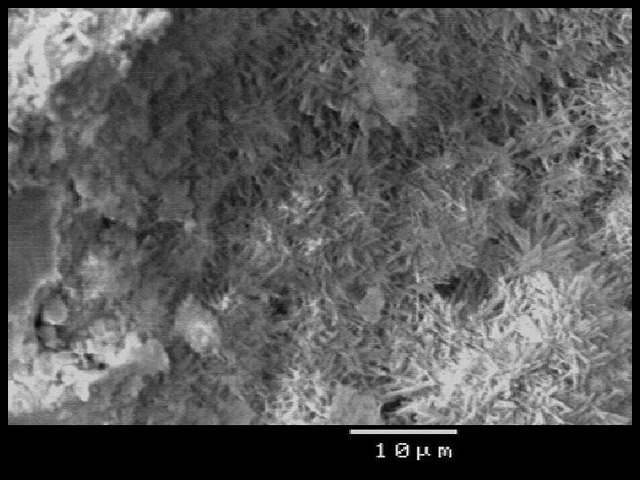 Scanning Electron Microscope image showing Supershield's needle-like crystalline formations sealing concrete cracks