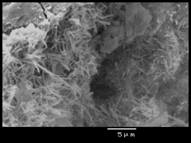 Scanning Electron Microscope image showing Supershield's needle-like crystalline formations sealing concrete cracks