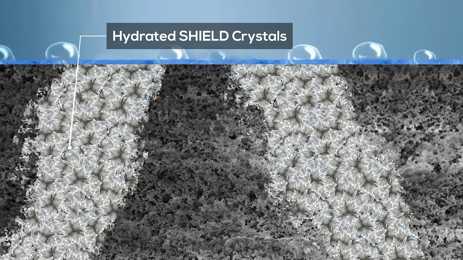 Needle-like SHIELD Crystals formed inside concrete pores to block moisture and enhance strength