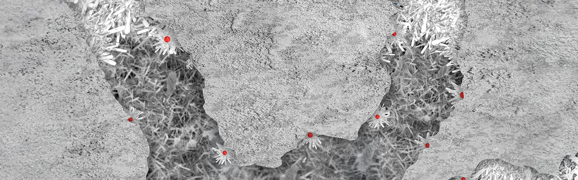 Sustainability with SHIELD Crystalline Technologies for resilient and eco-friendly concrete