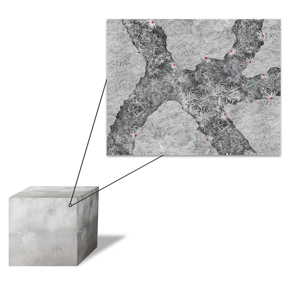 Deep Penetrating Capillary (DPC) Crystalline Technology in concrete structures