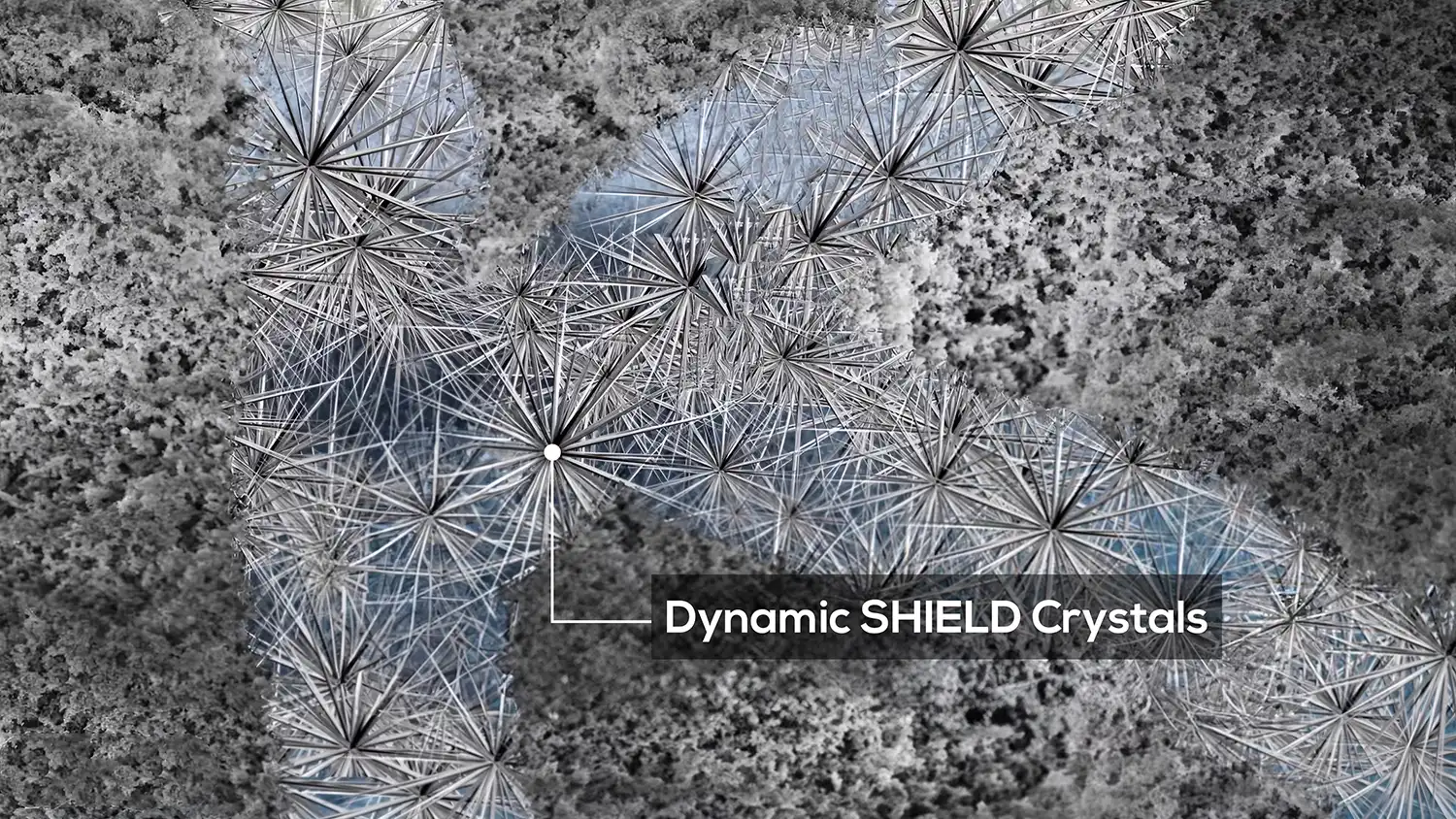 Dynamic SHIELD Crystals