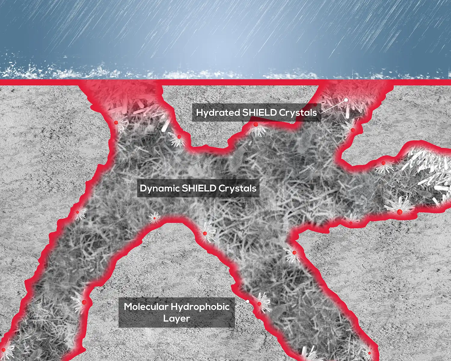 SHIELD Crystals Image 2