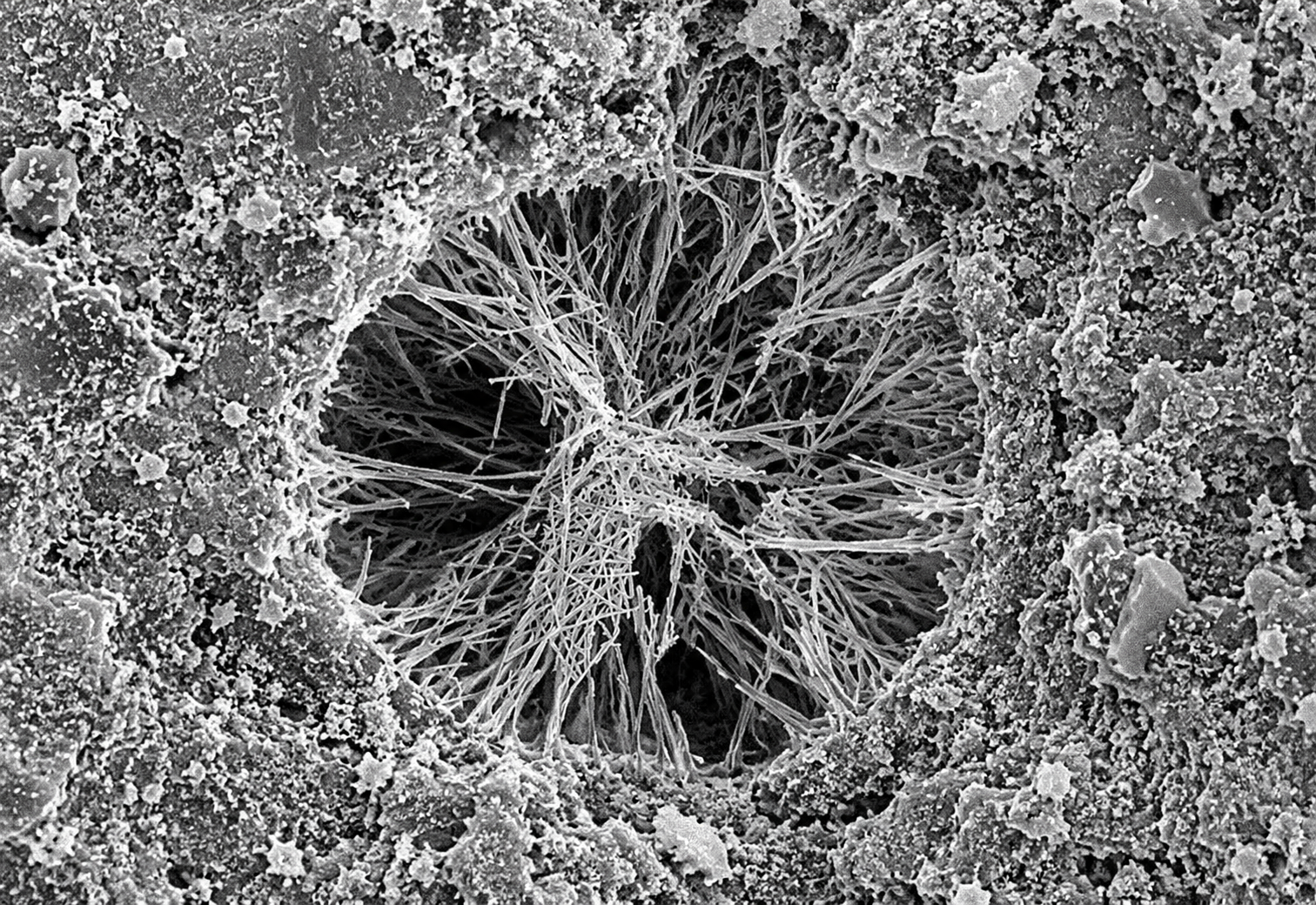 DPC Crystalline Technology